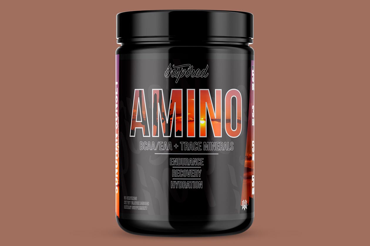 inspired thermo amino