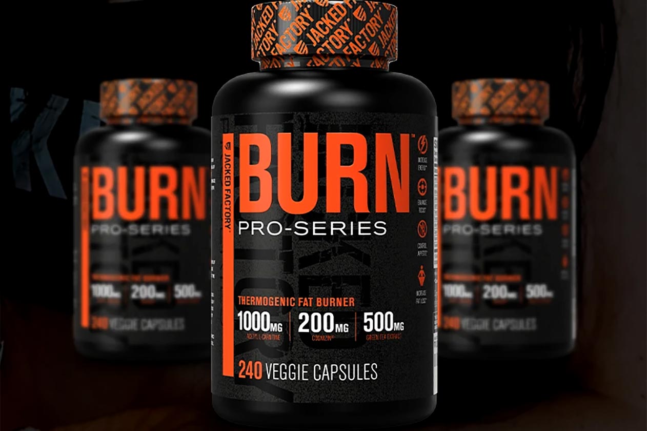 jacked factory pro series burn