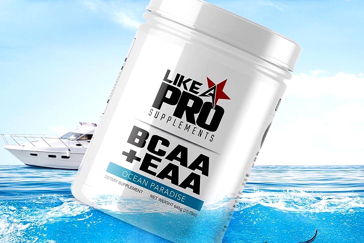 like a pro ocean paradise bcaa eaa