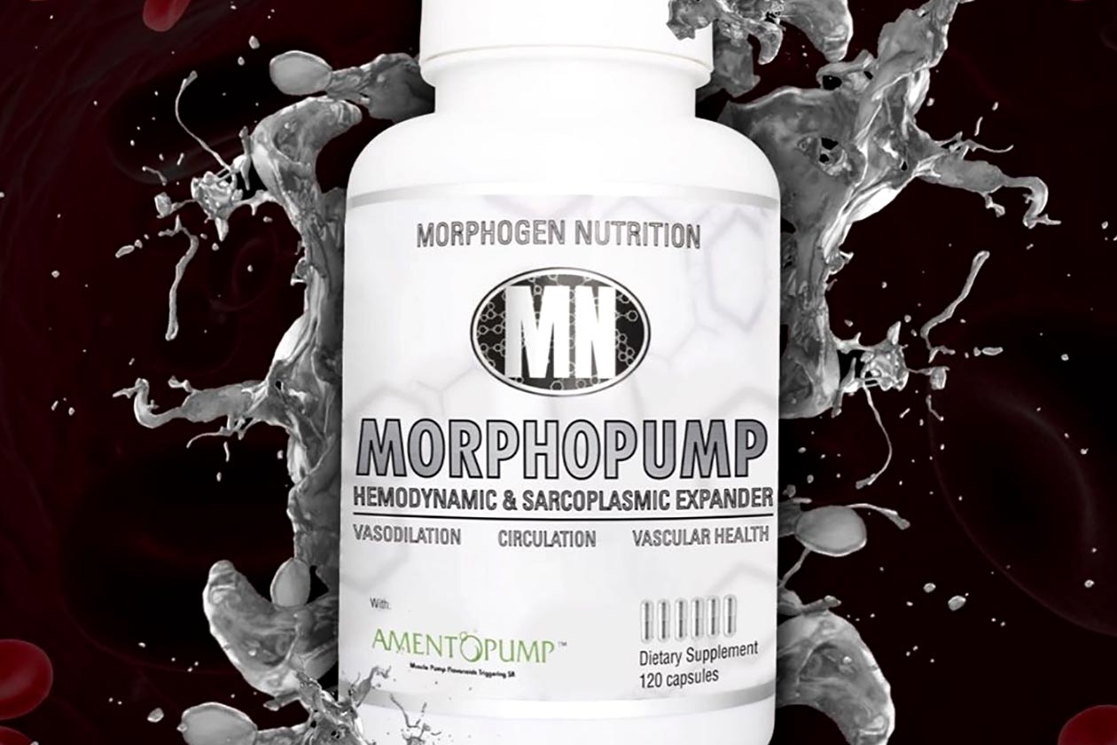 morphogen nutrition morphopump