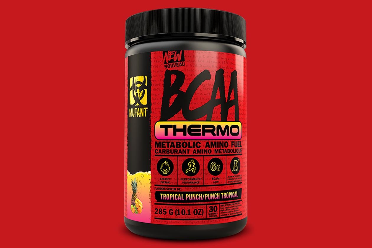 mutant bcaa thermo