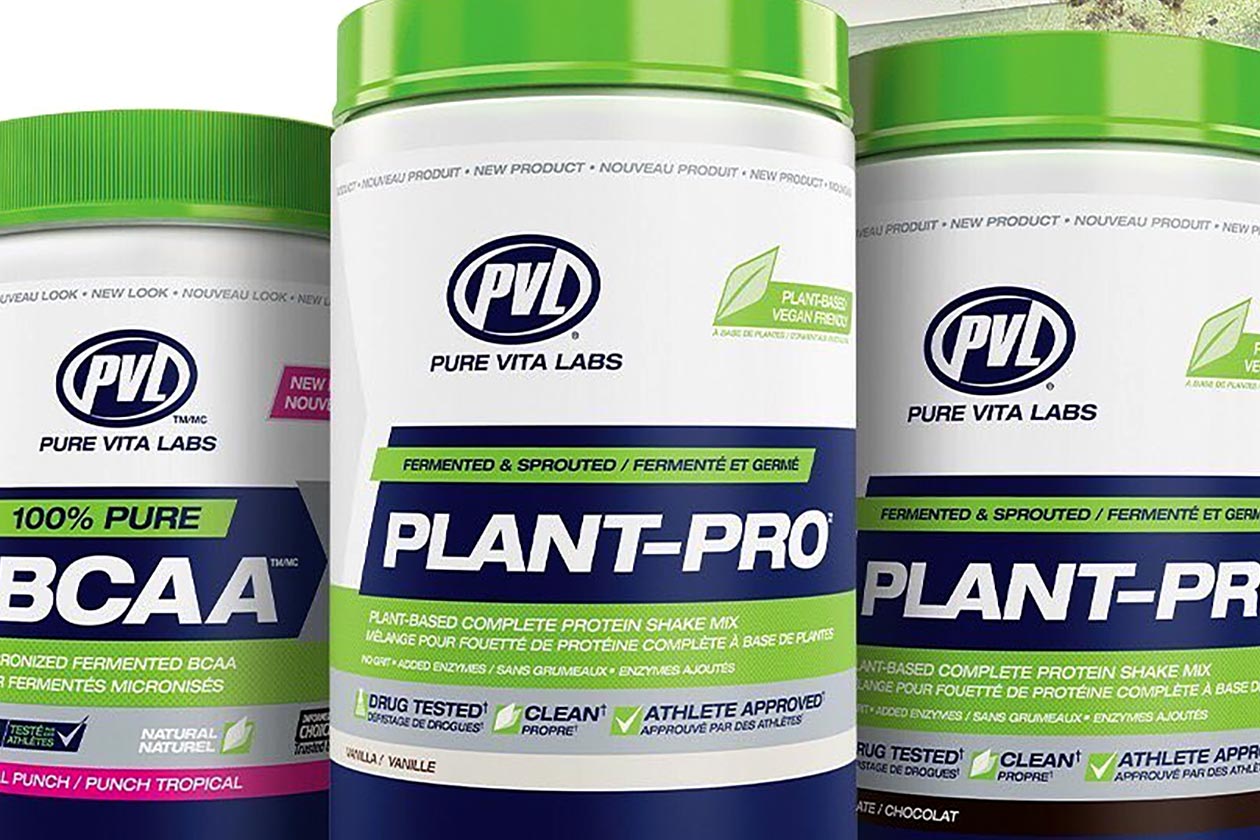 pvl plant pro protein powder giveaway