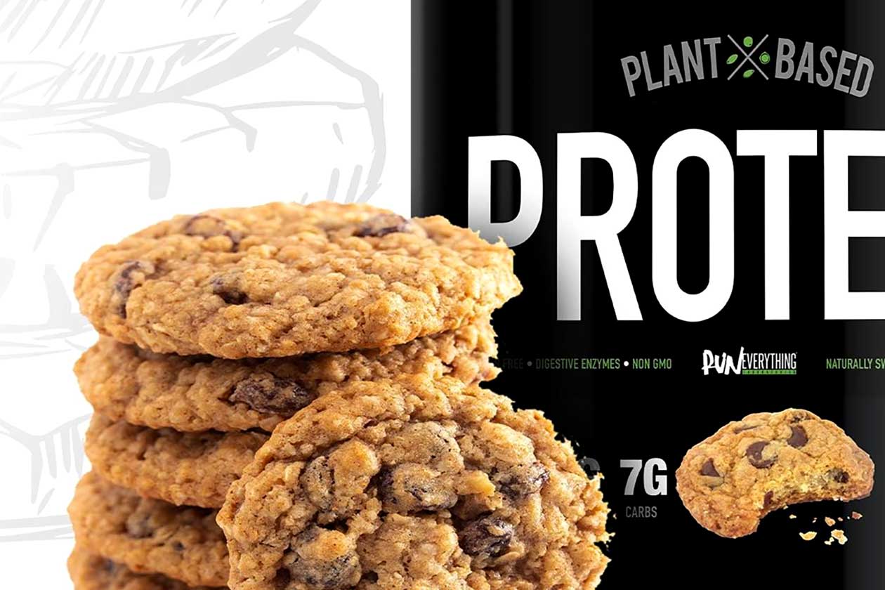 run everything labs oatmeal chocolate chip cookie plant protein
