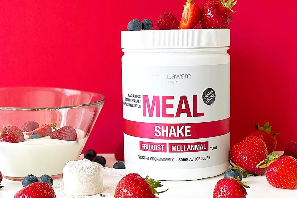 wellaware nutrition meal shake