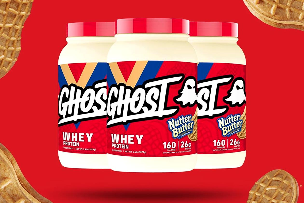 ghost chocolate nutter butter protein