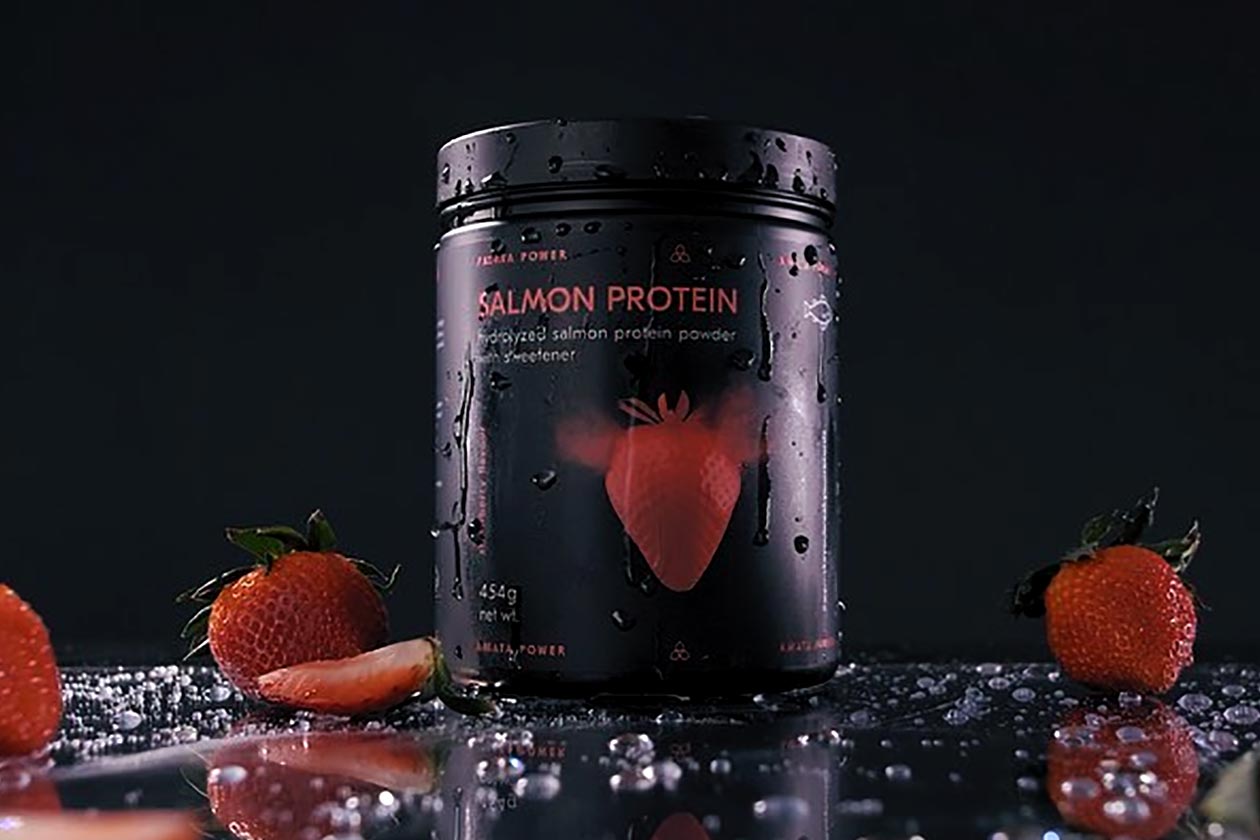 amata power salmon protein powder