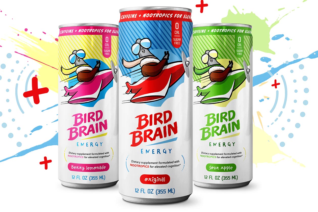 bird brain energy drink
