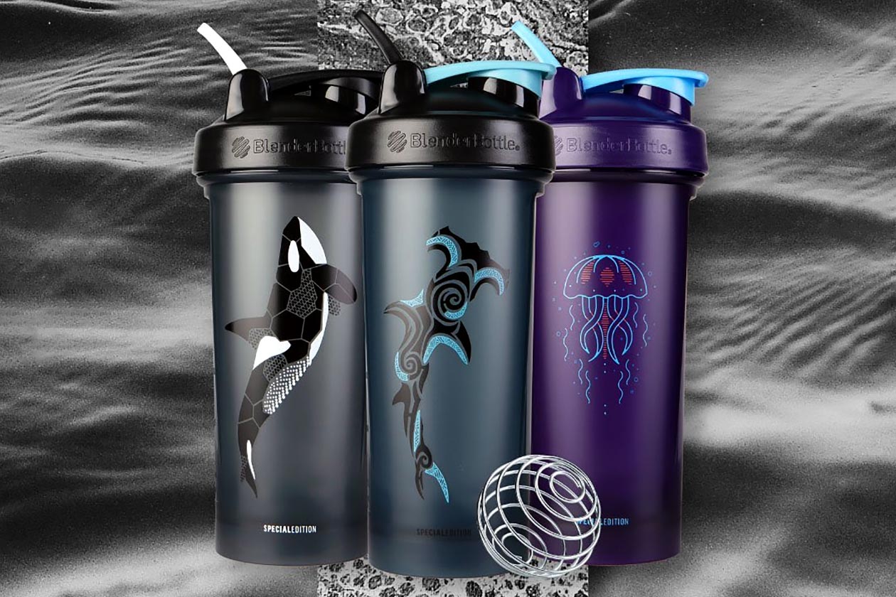 BlenderBottle Oceanic Series featuring unique animal designs