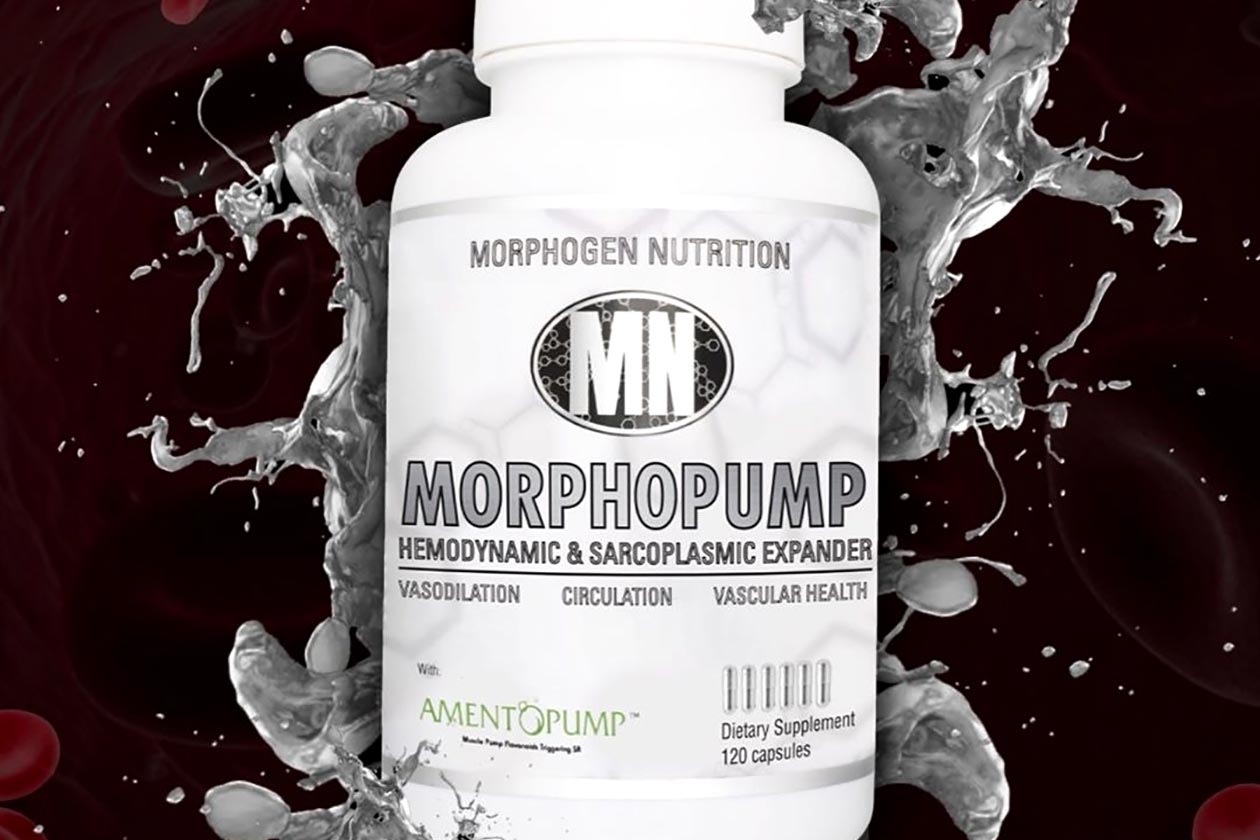 morphogen nutrition insight supps uk