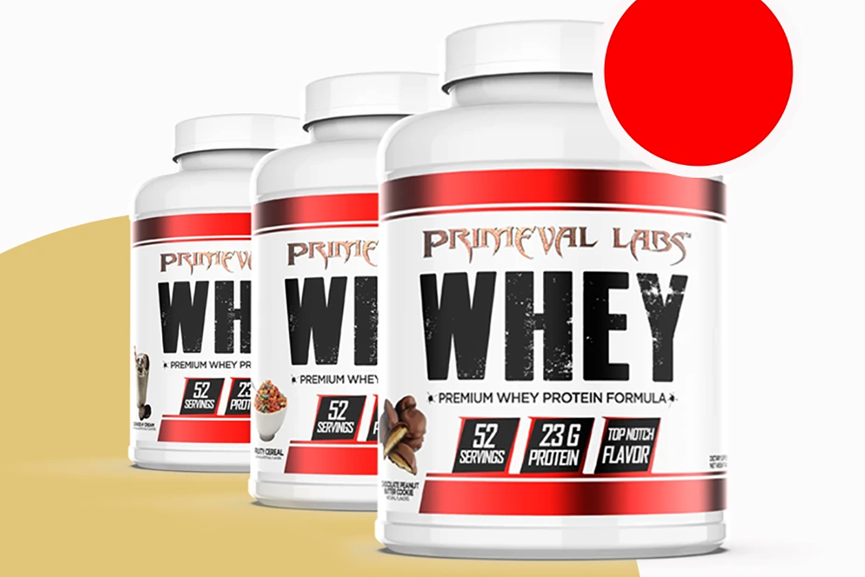 chocolate peanut butter cookie primeval labs whey