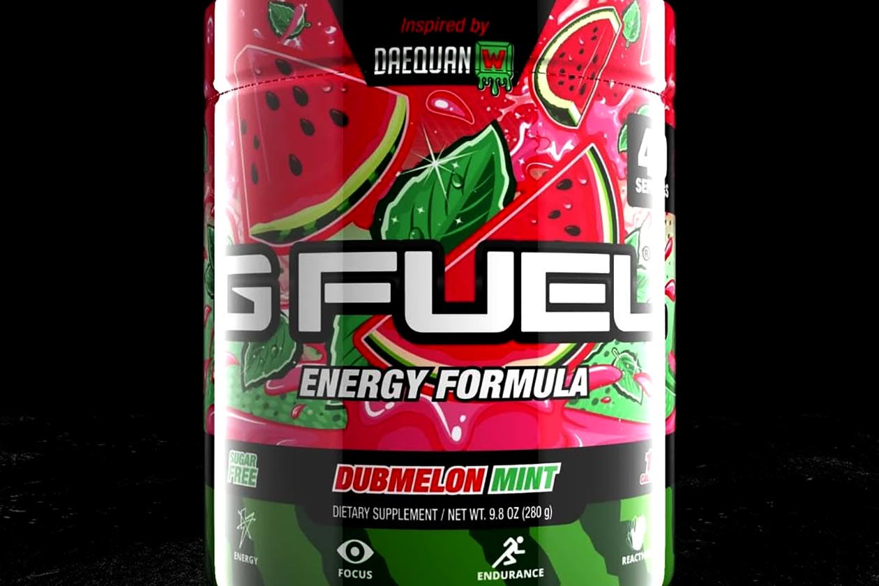 dubmelon mint g fuel into the vault