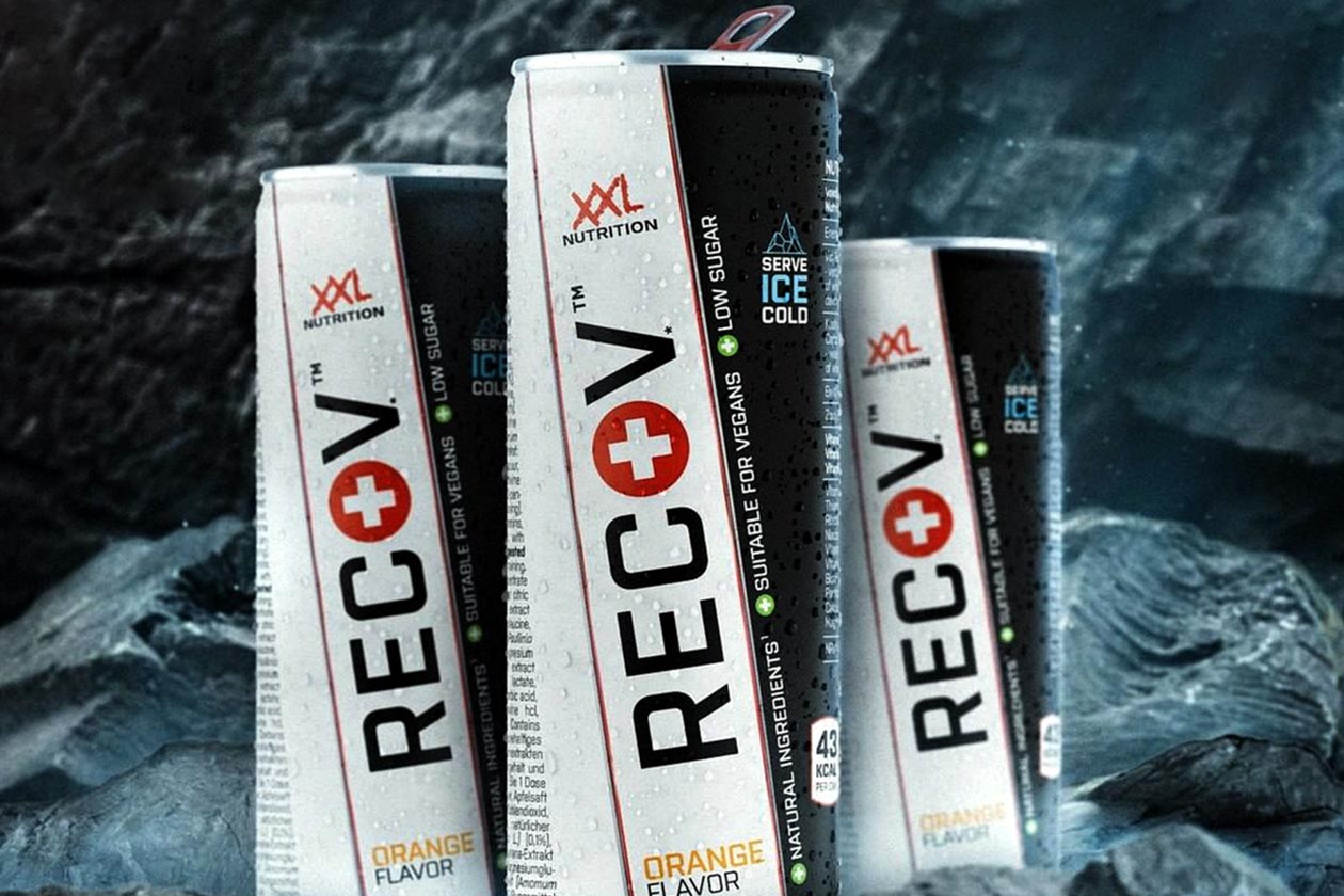 xxl nutrition recov drink