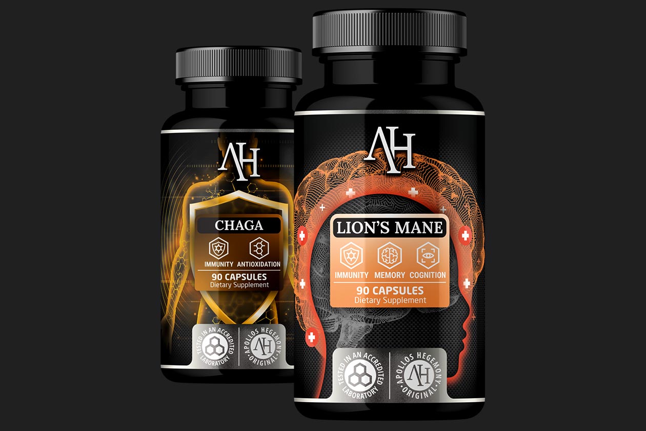 apollos hegemony chaga lions mane