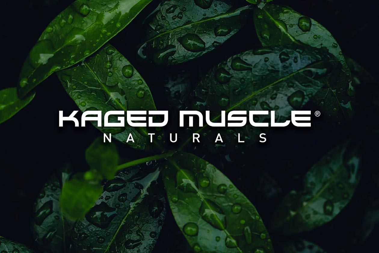 kaged muscle naturals