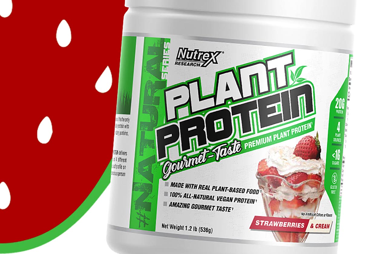 nutrex strawberries and cream plant protein