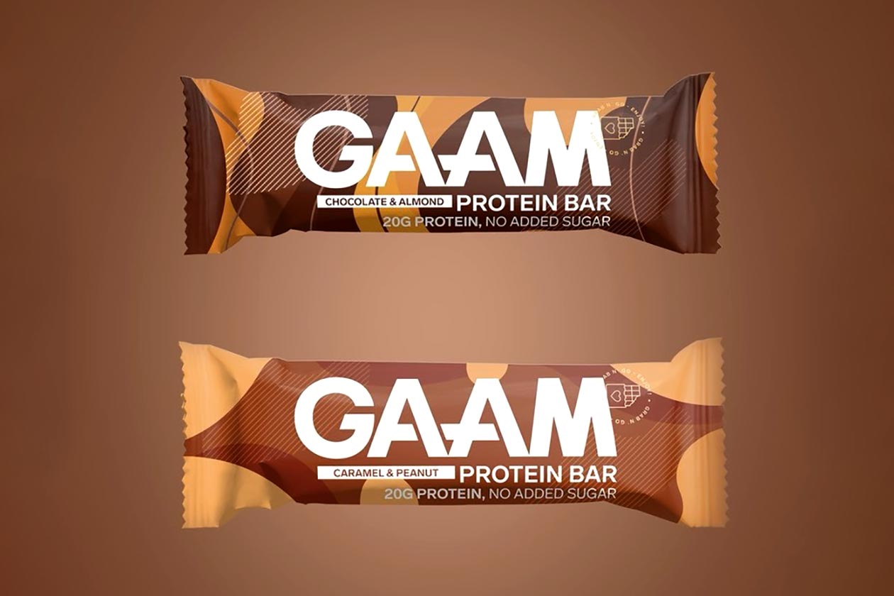 gaam protein bar