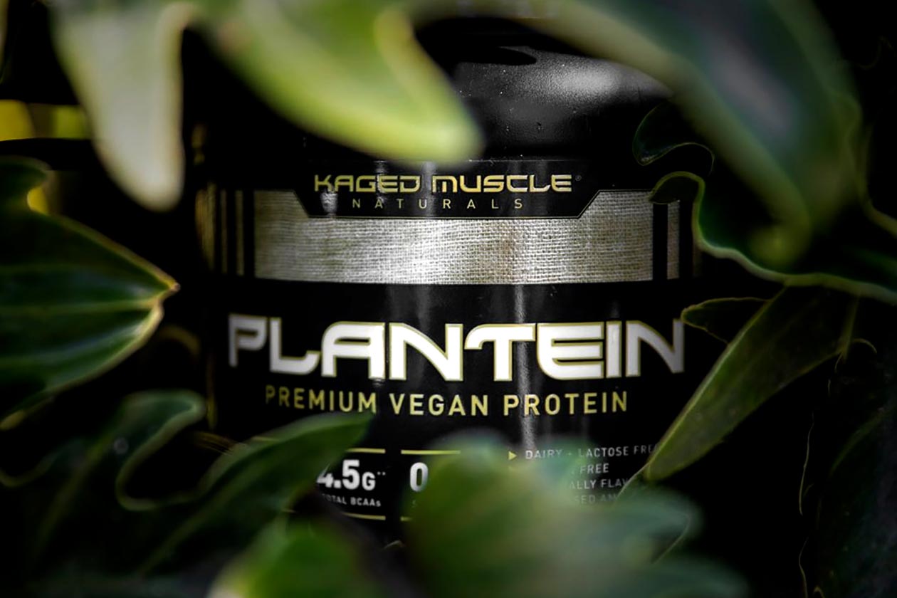 kaged muscle plantein