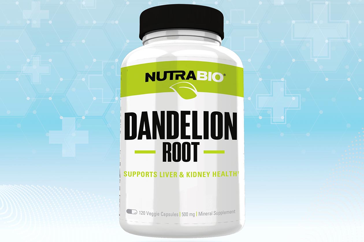 nutrabio dandelion root