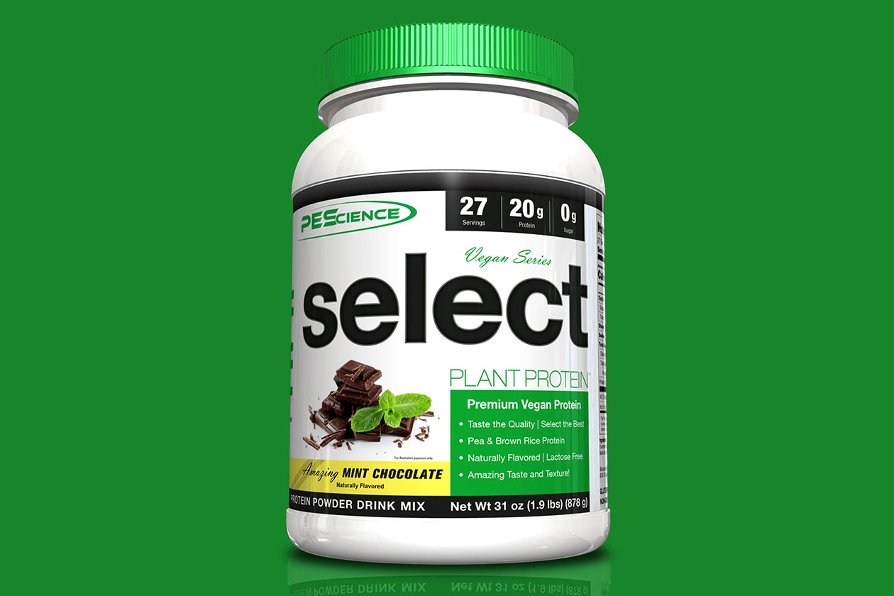 pescience mint chocolate select vegan protein