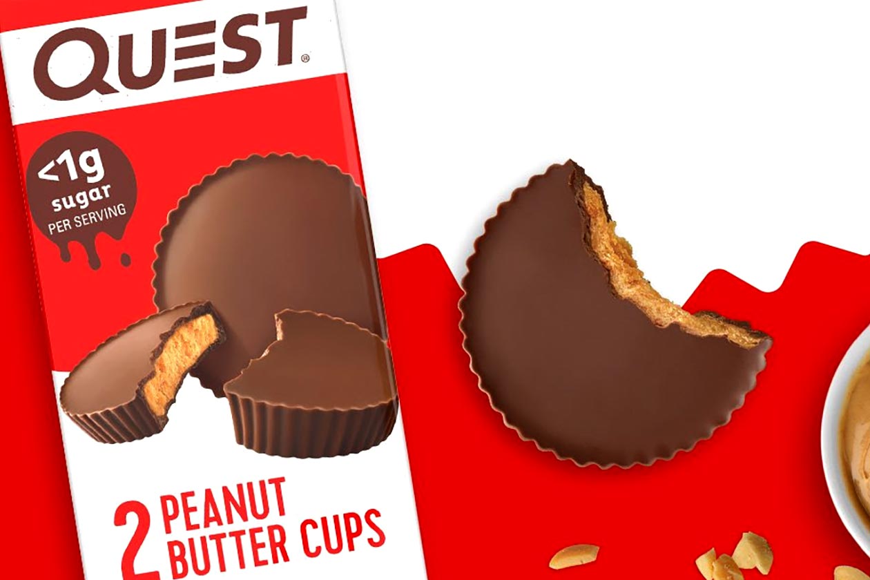 quest protein peanut butter cups