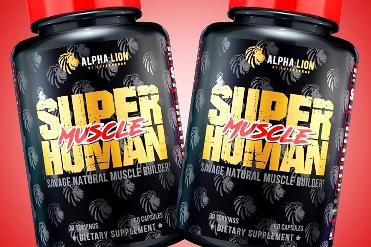 alpha lion superhuman muscle