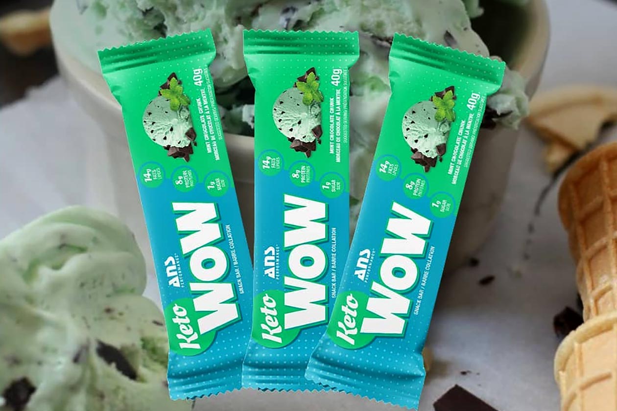 ans mint chocolate chunk wow snack bar