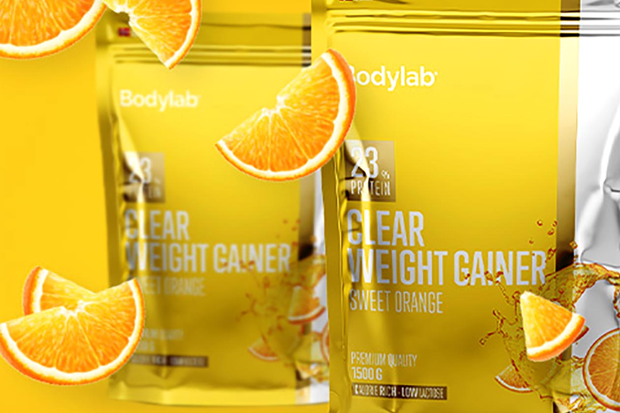 bodylab sweet orange clear weight gainer