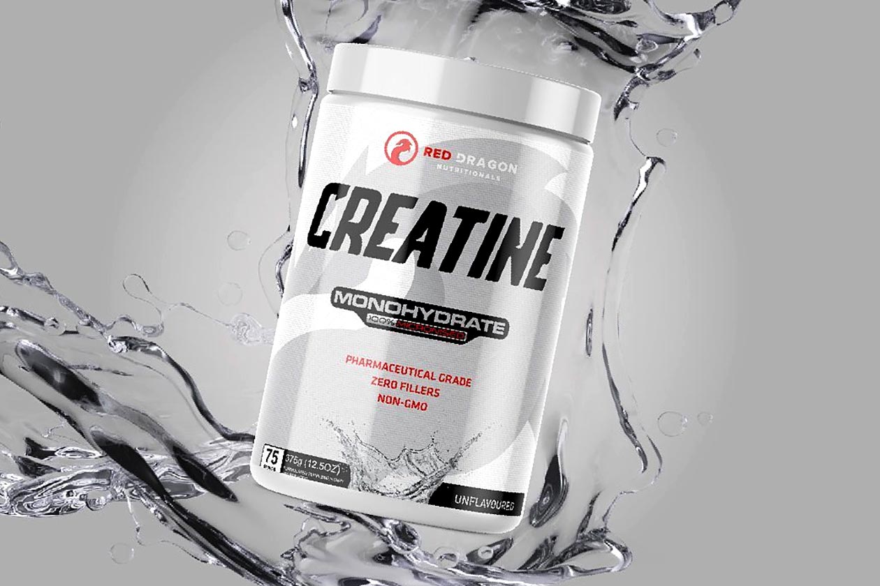 red dragon creatine