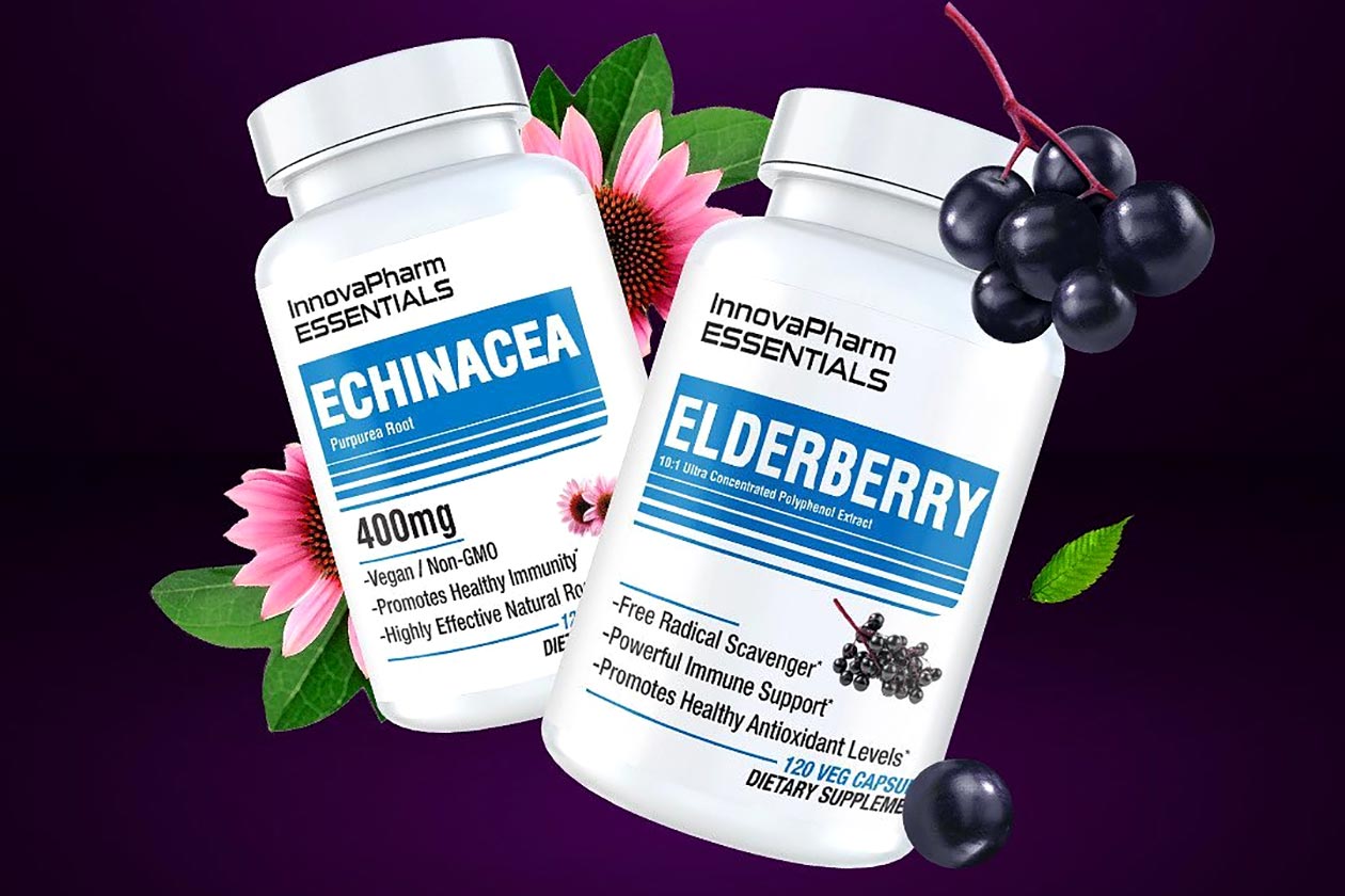 innovapharm essentials series elderberry and echinacea