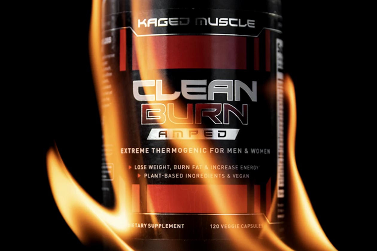kaged muscle clean burn amped