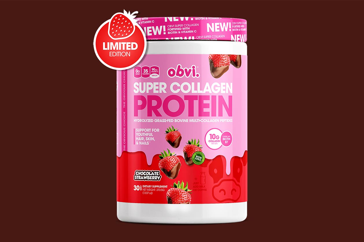 obvi chocolate strawberry super collagen protein