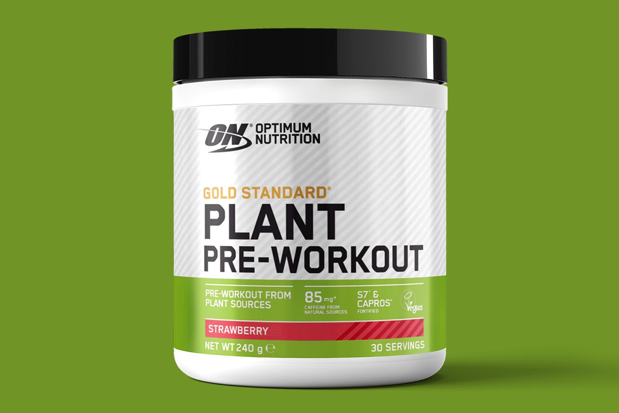 optimum nutrition gold standard plant pre-workout