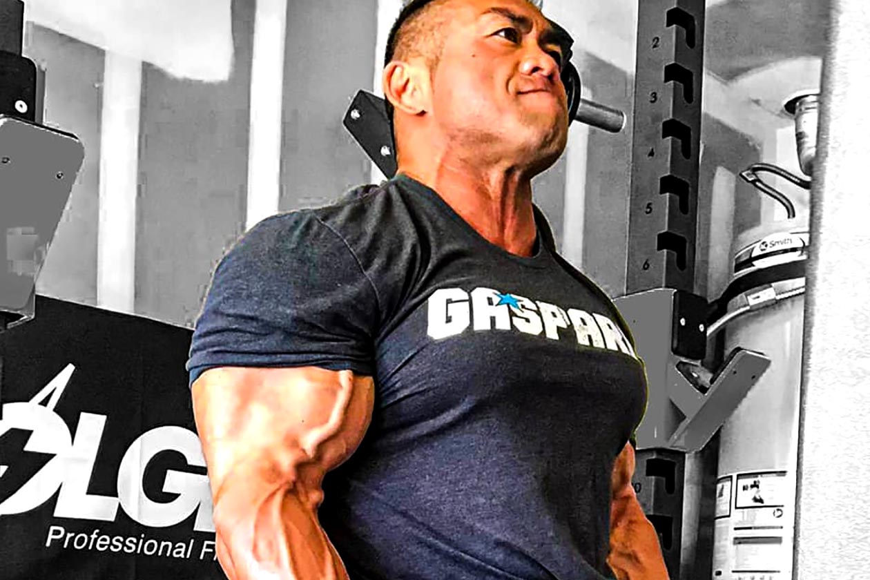 gaspari nutrition hidetada yamagishi series