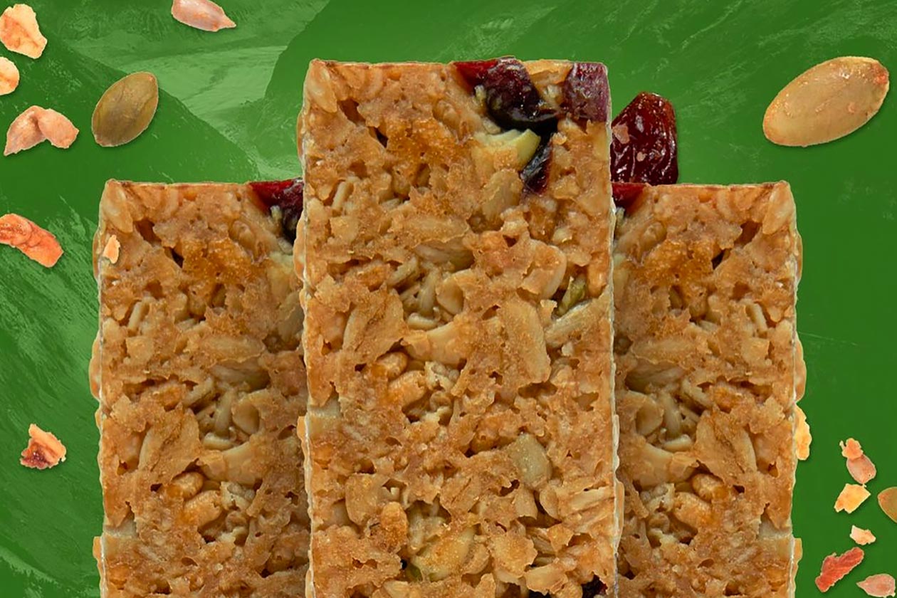 mountain joes granola protein bar