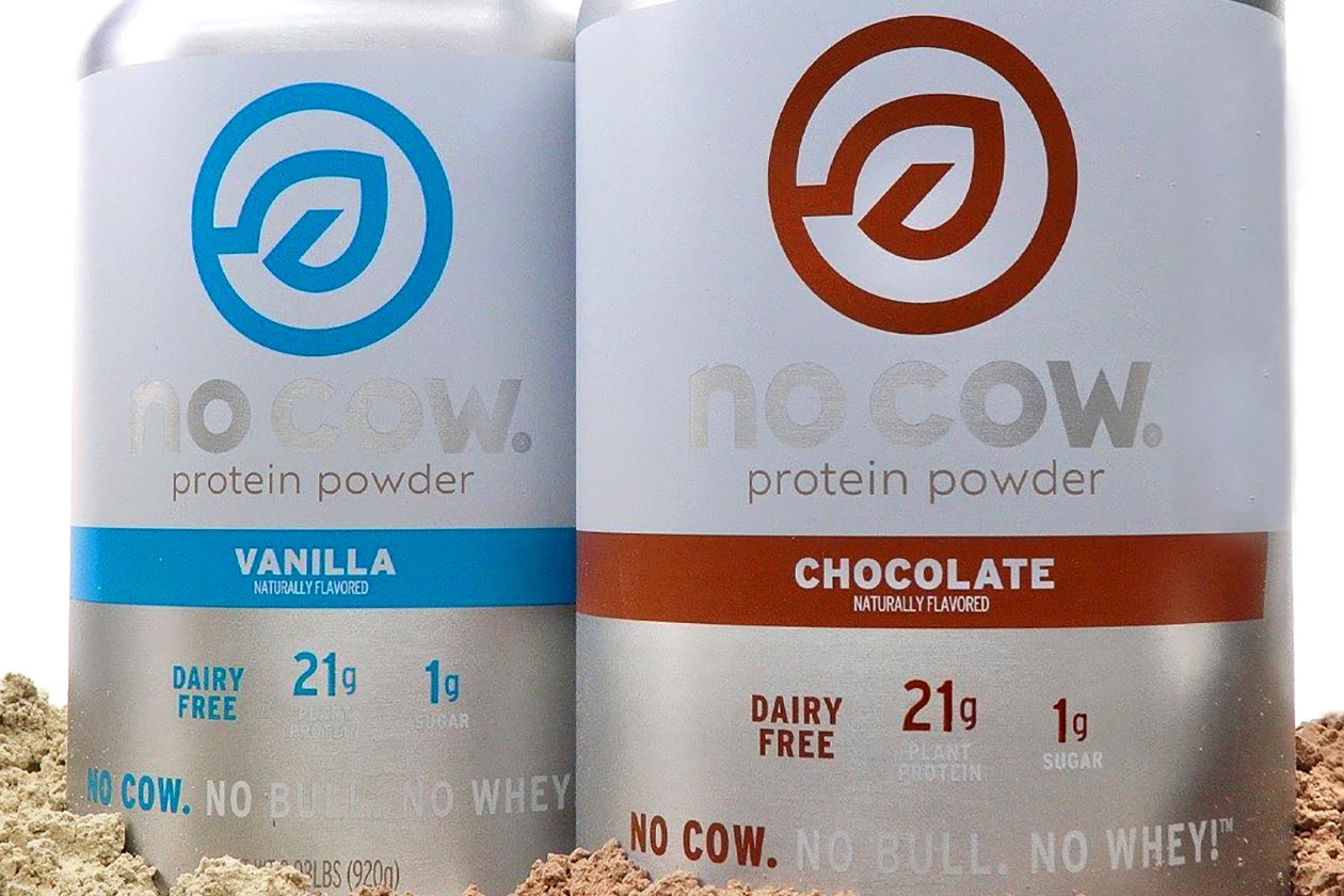 no cow protein powder