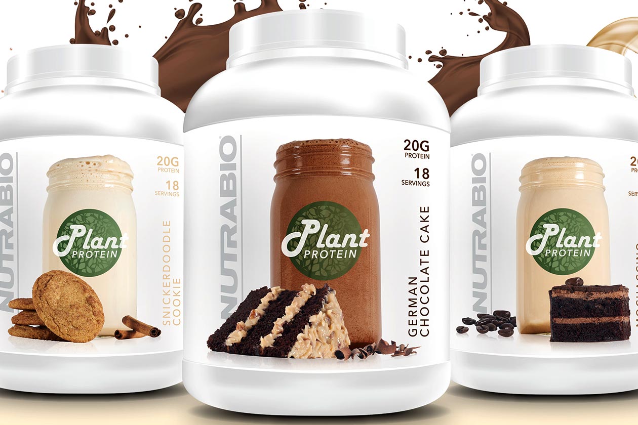 nutrabio plant protein