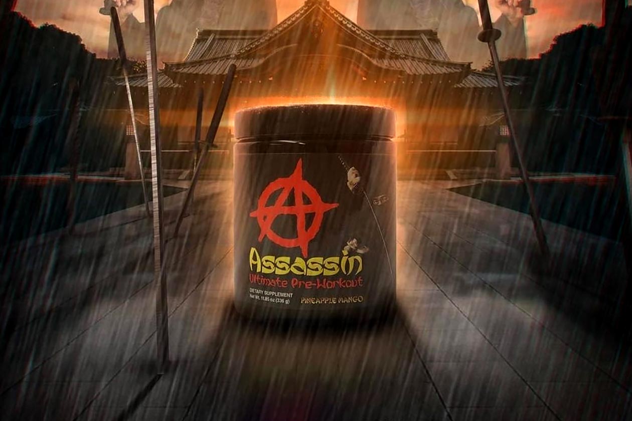 apollon nutrition assassin v7