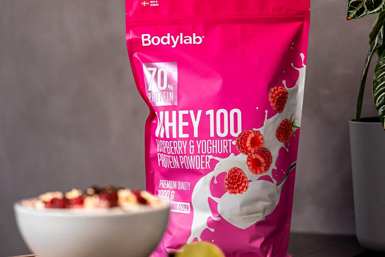 bodylab raspberry yogurt whey 100