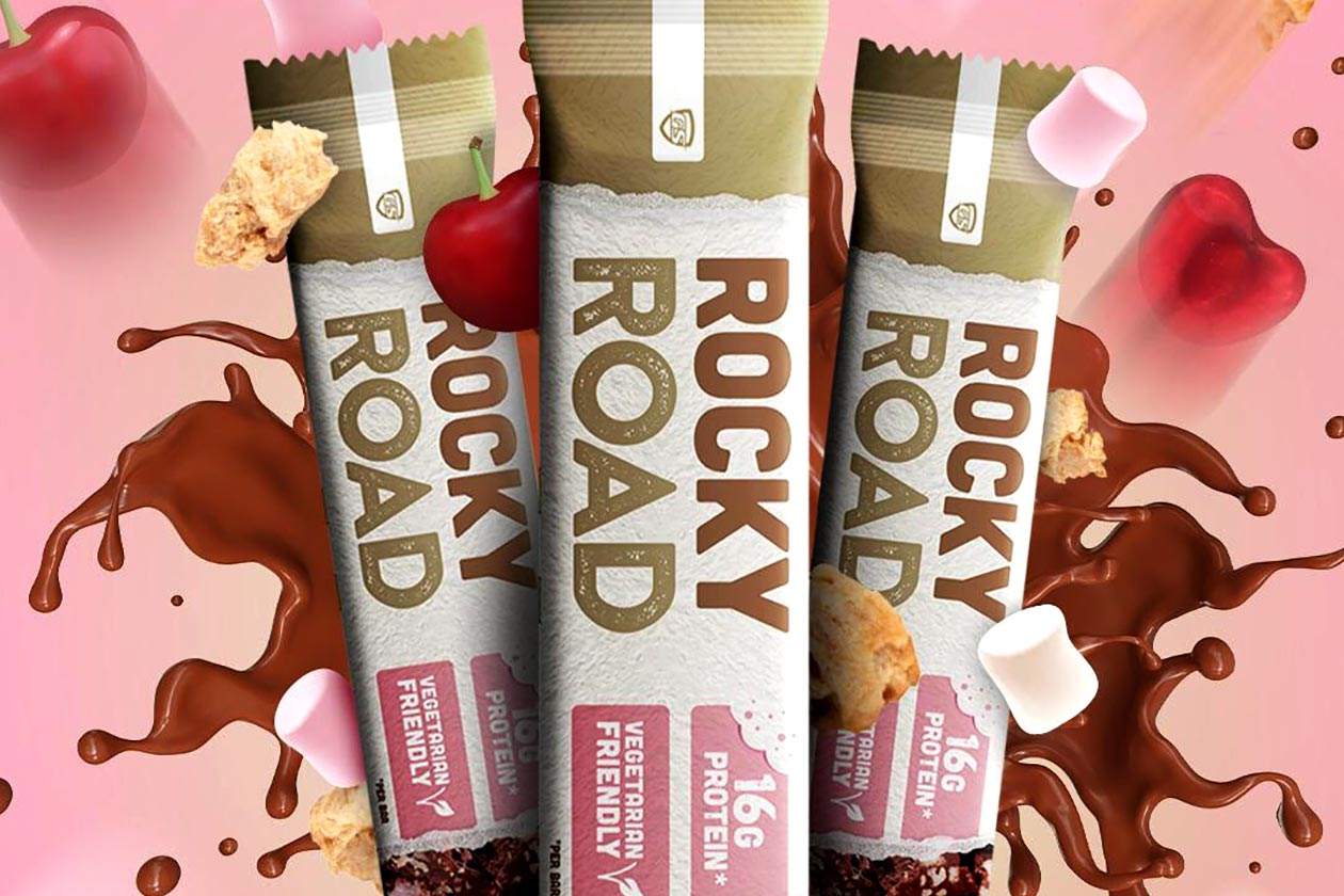 gold standard nutrition rocky road protein bar