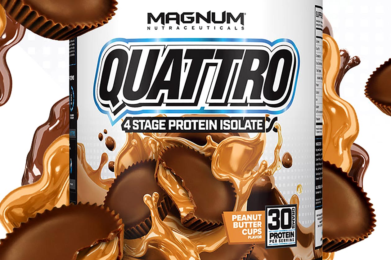 magnum peanut butter cups quattro