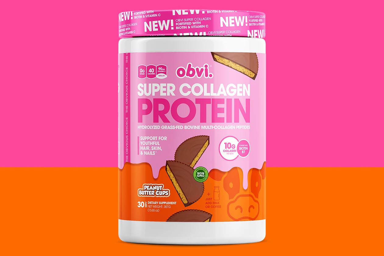 obvi peanut butter cups super collagen protein