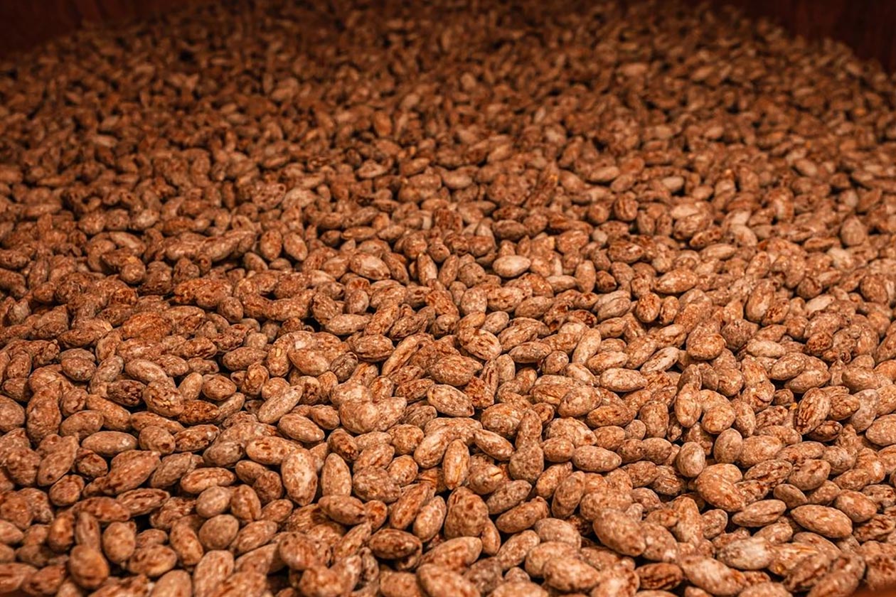 haleo protein almonds