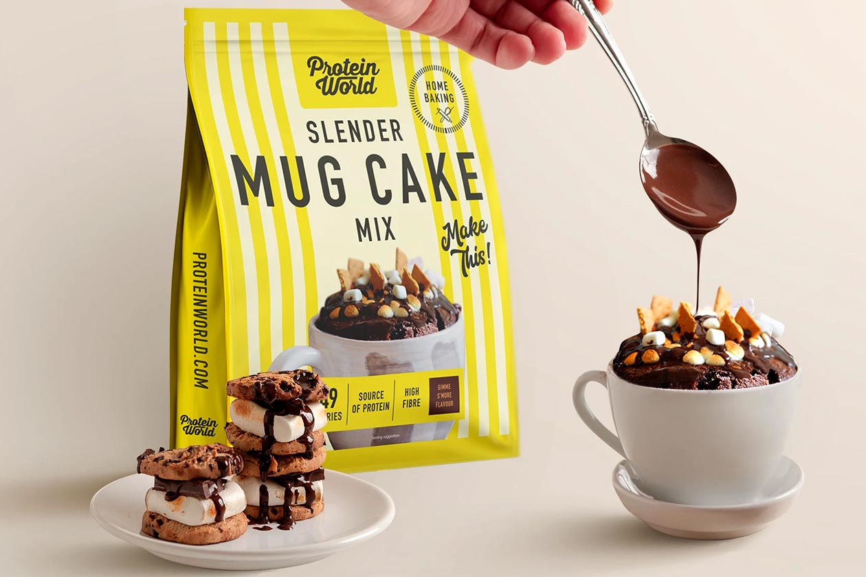 protein world smores mug cake