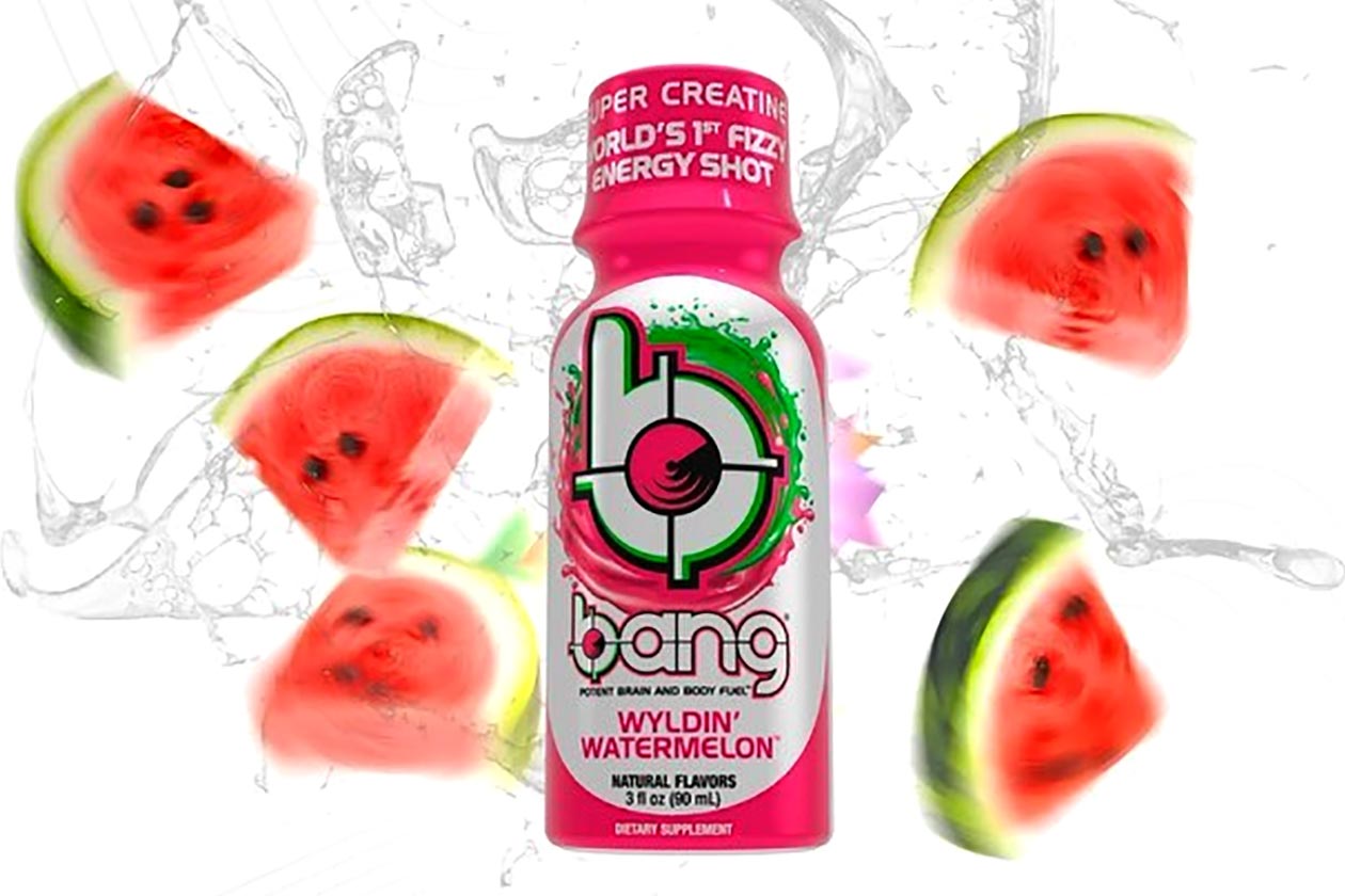 wyldin watermelon bang energy shot