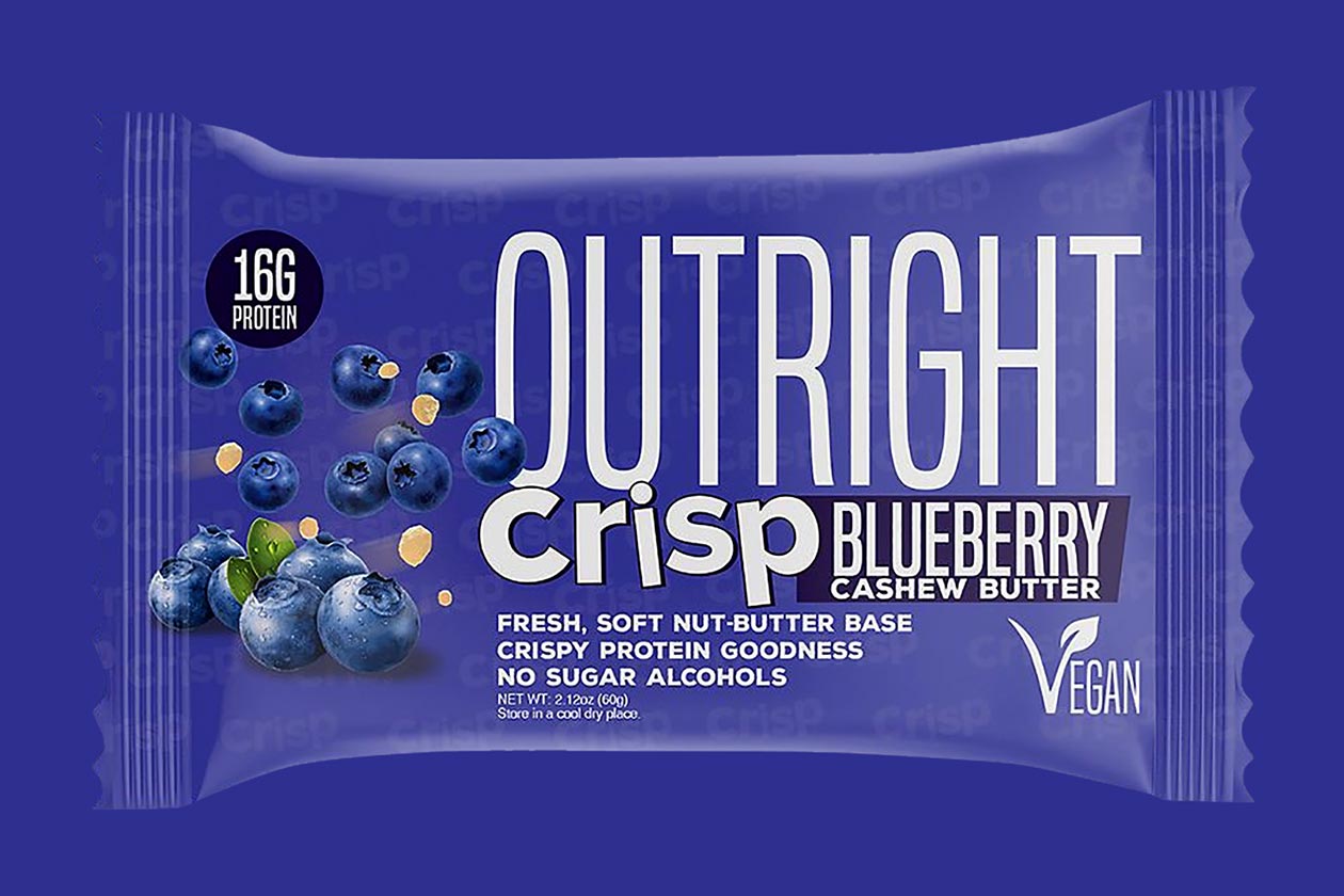blueberry cashew butter outright crisp protein bar