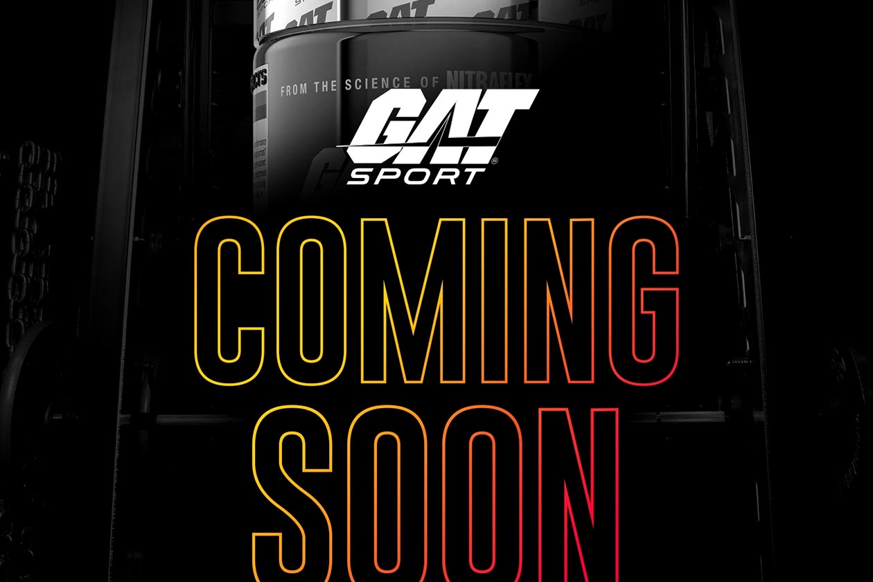 gat sport stackable nitraflex coming soon