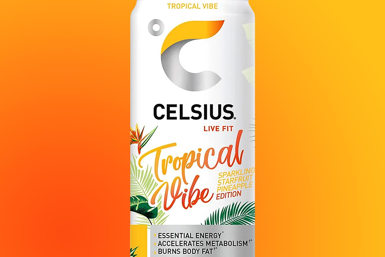 tropical vibe celsius energy drink