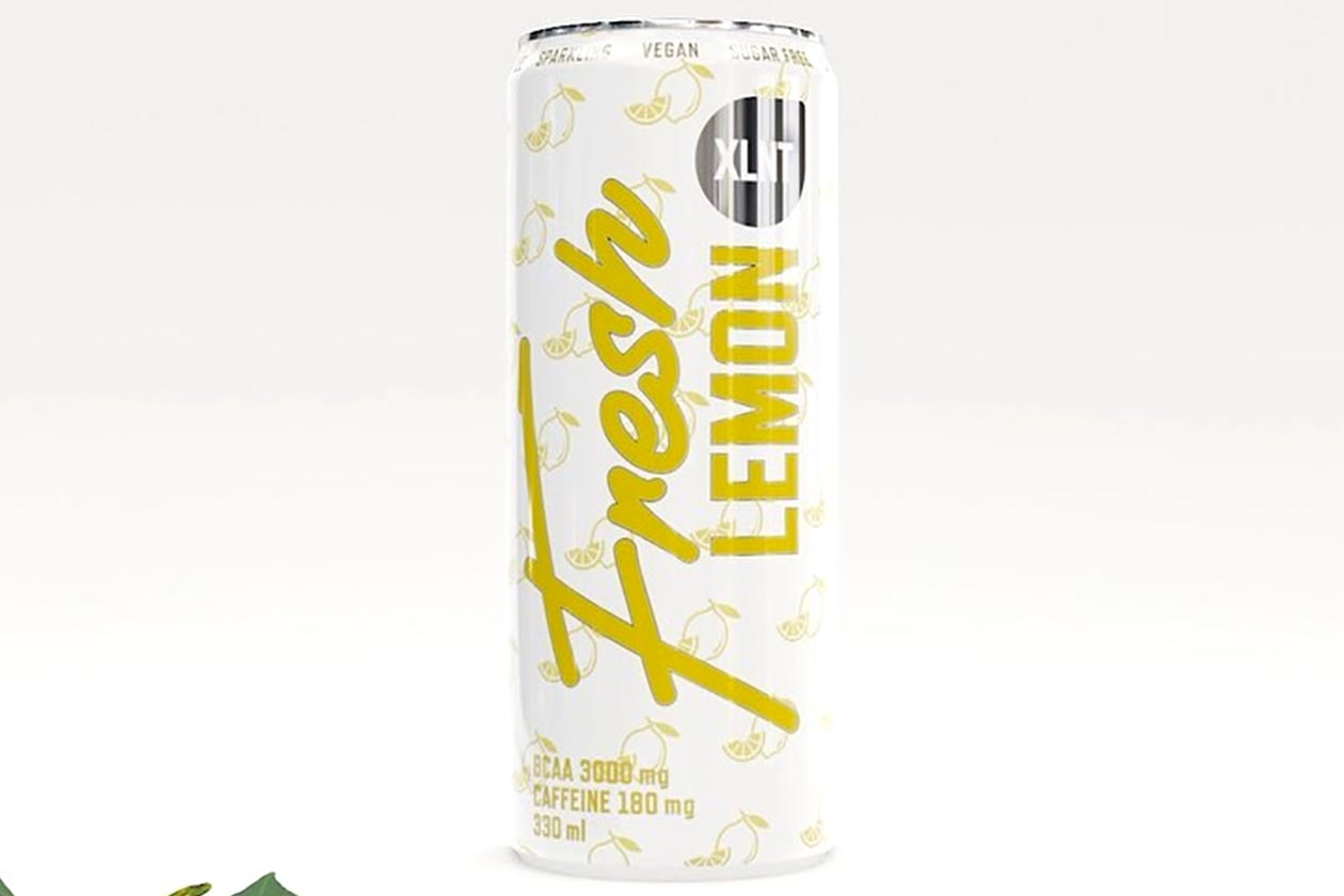xlnt sports fresh lemon bcaa energy drink