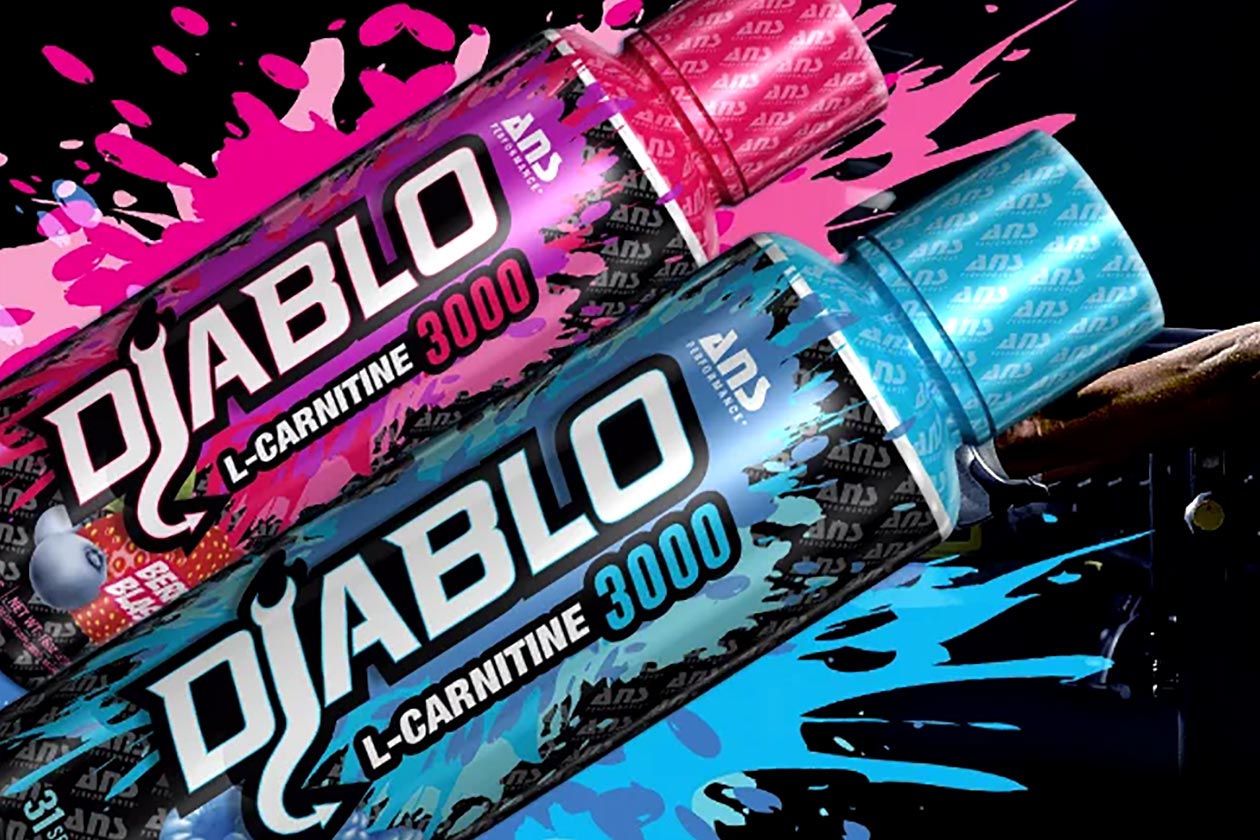 ans performance diablo carnitine 3000