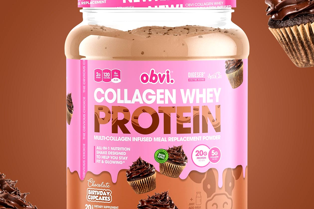 obvi chocolate birthday cupcakes collagen whey protein